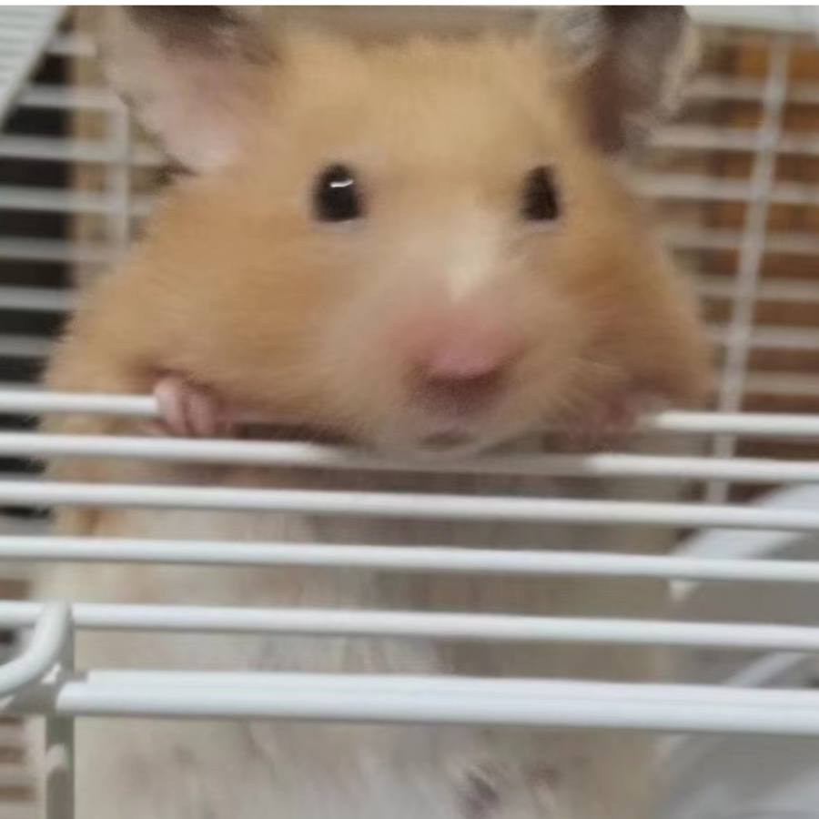 烟记