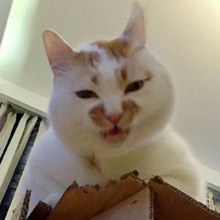 千千。