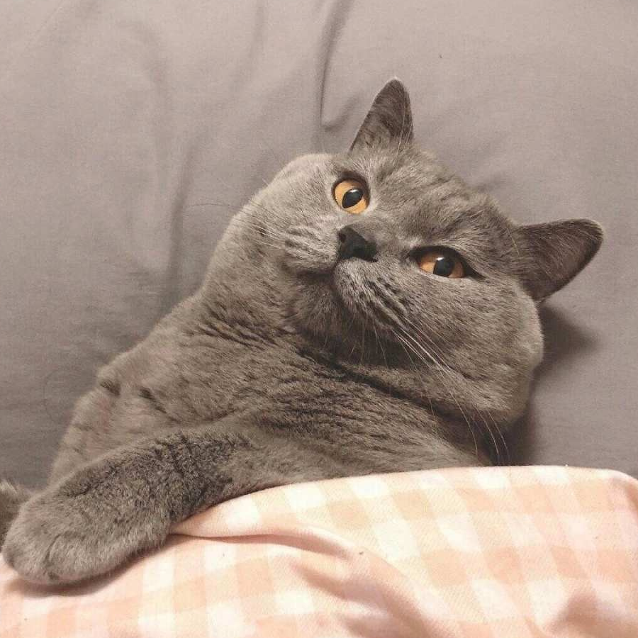 小张