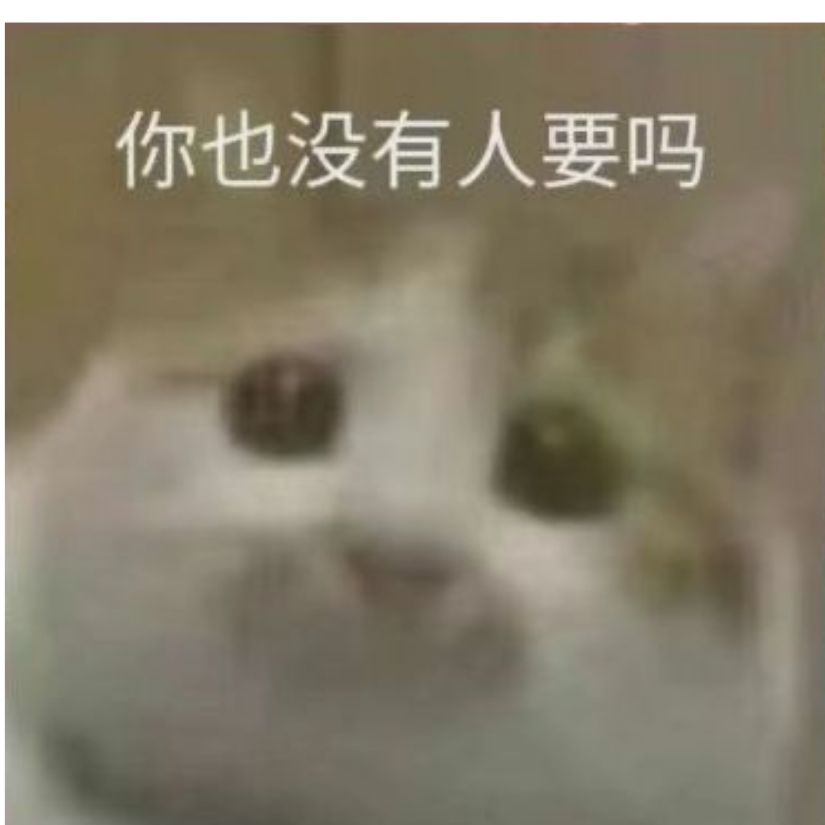 刘十三