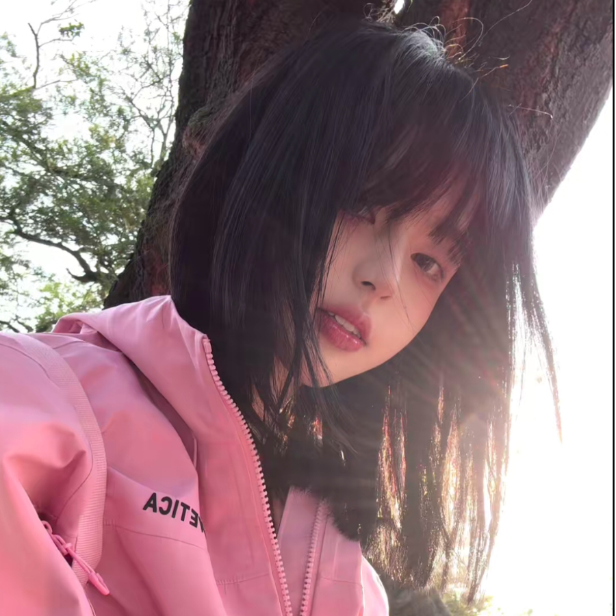 长白山内向小野猪