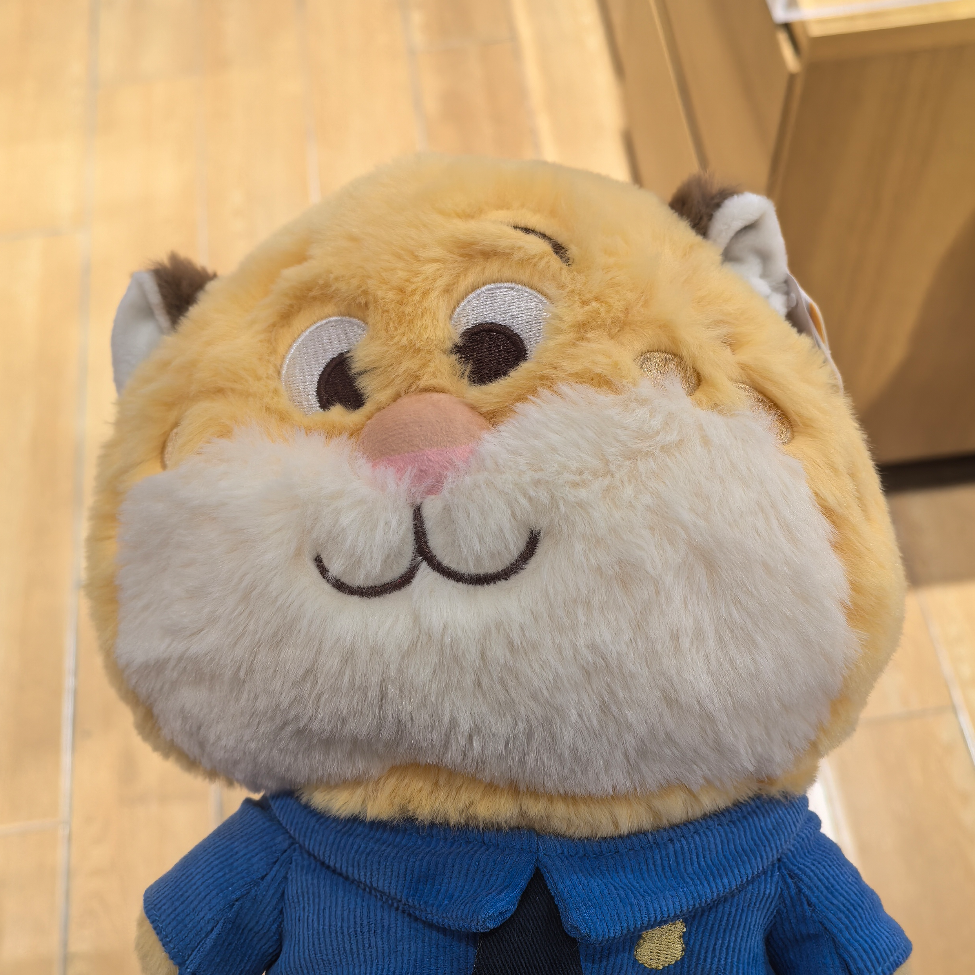天宇