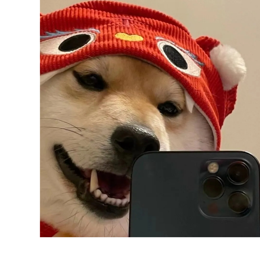 吃辣椒咳嗽