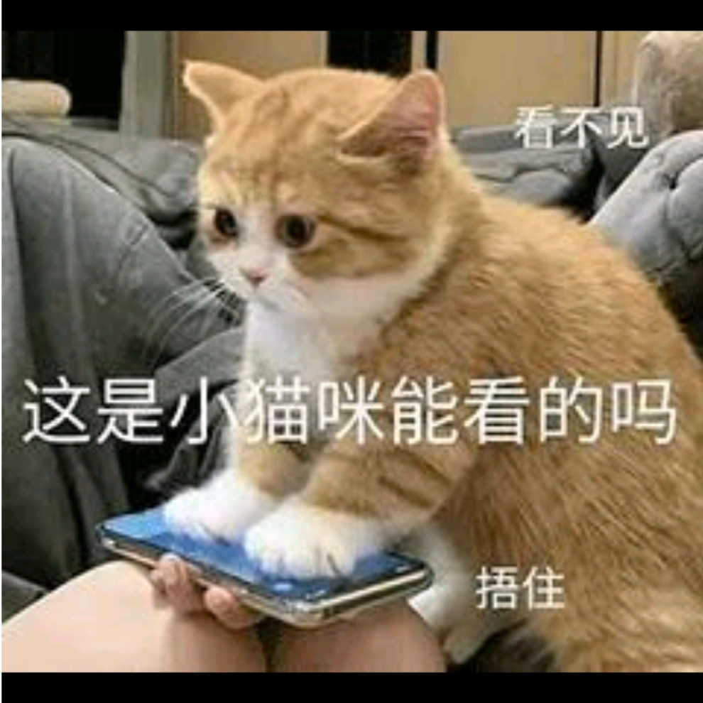 沐莹