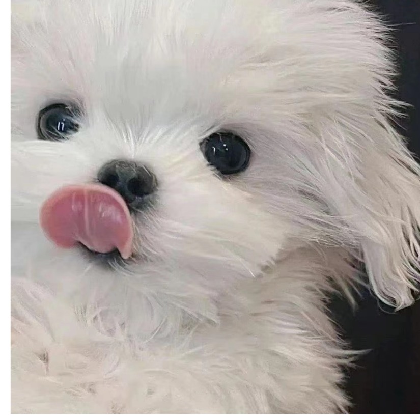 龙虎山史半仙