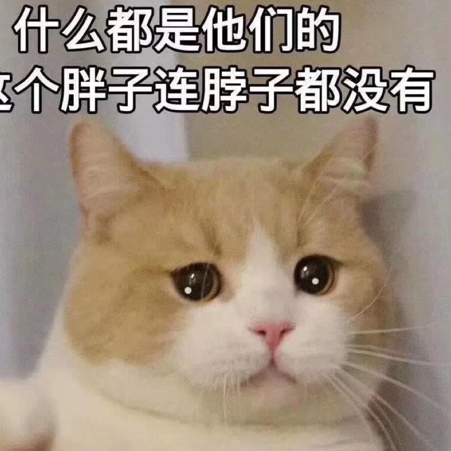 可爱的小白白丶