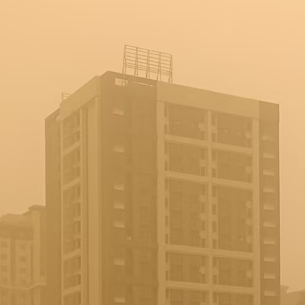 好几条