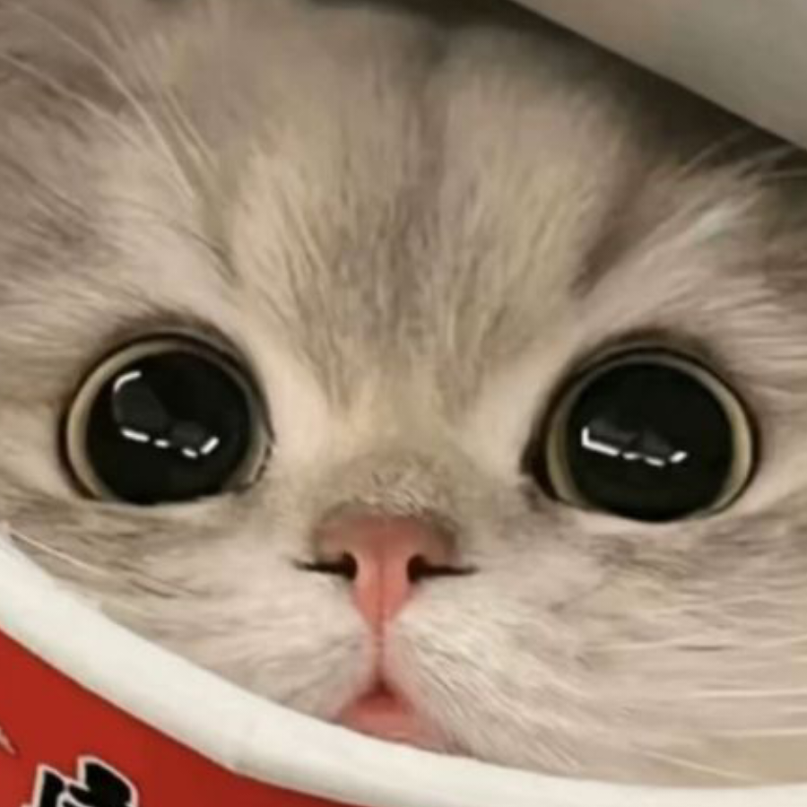 窗外ᵈᵉ雨.