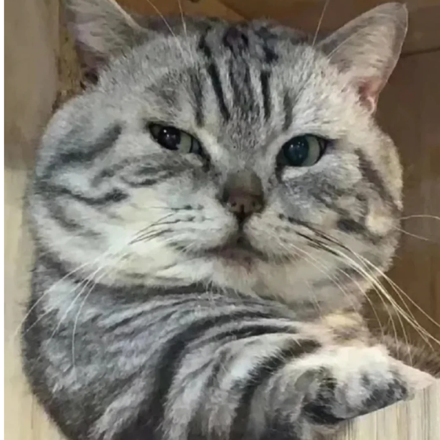 洵彦
