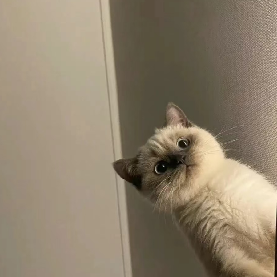 牛头人