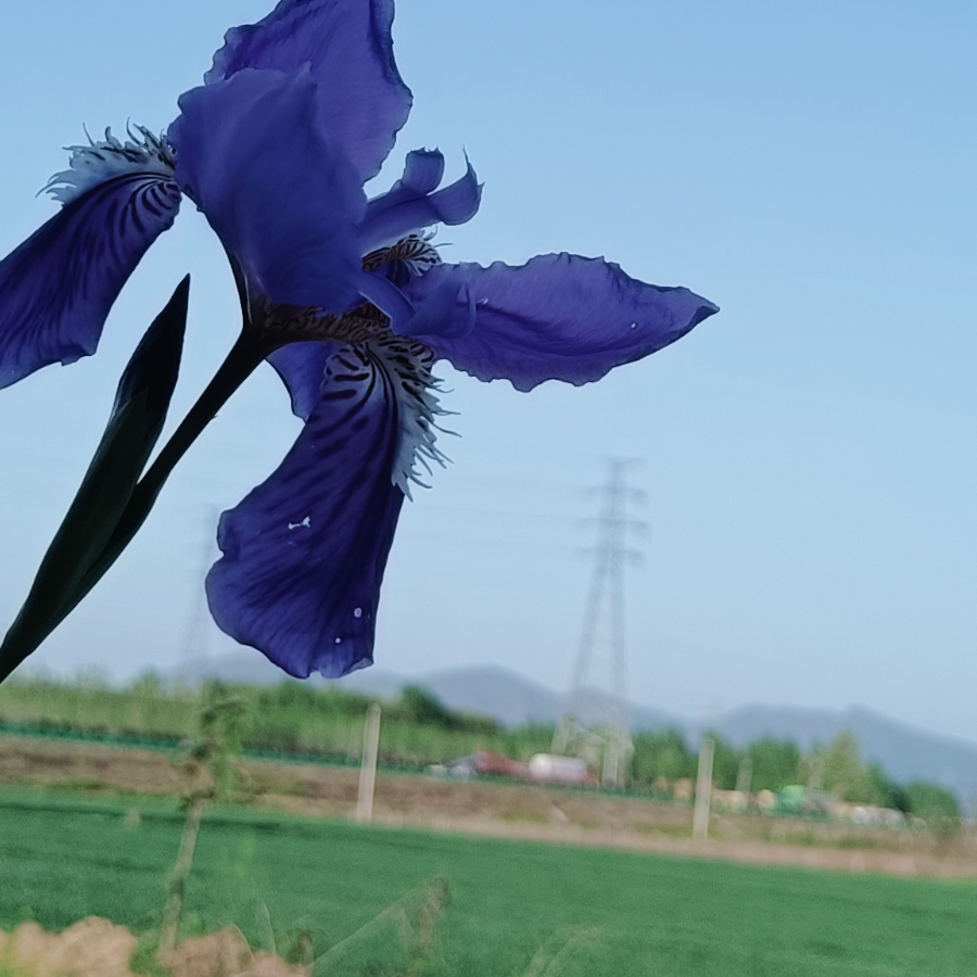 下雨了