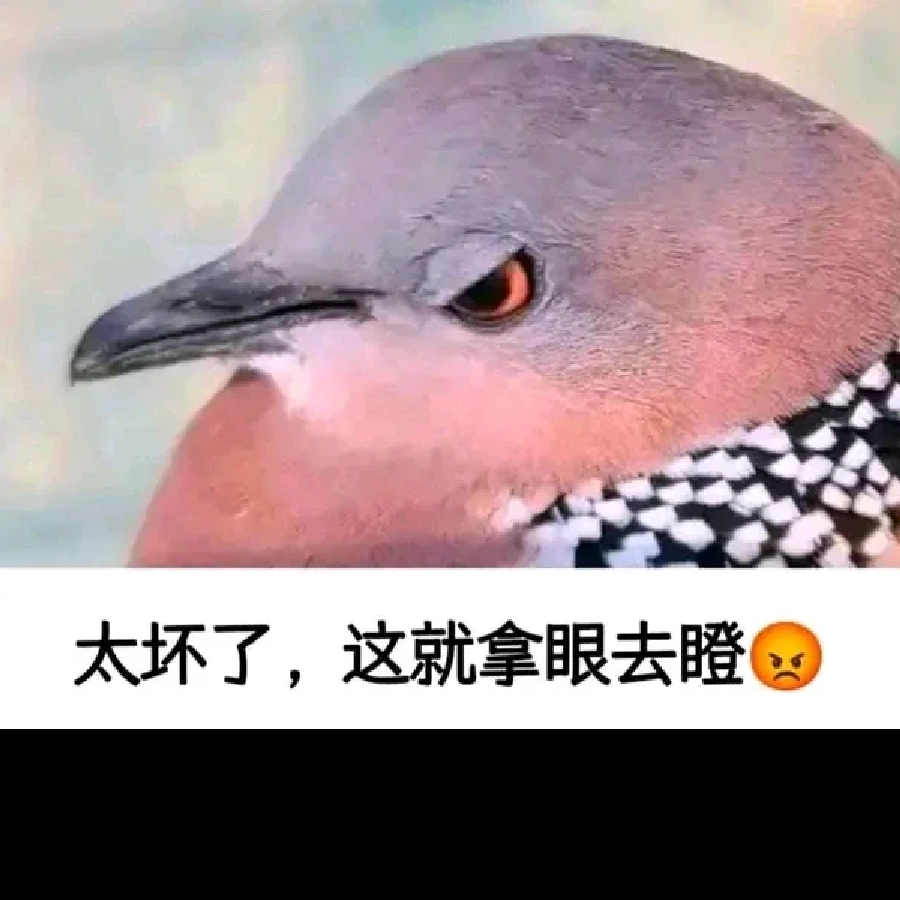 墨迹