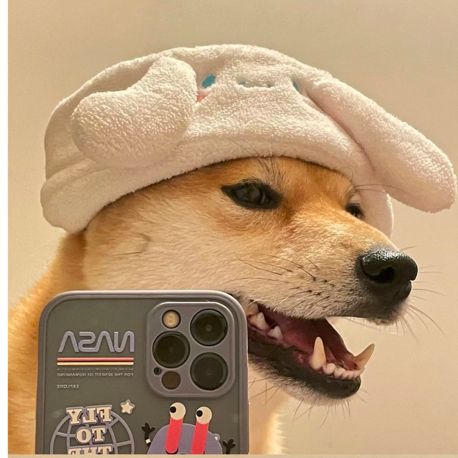 宇智波呼湖