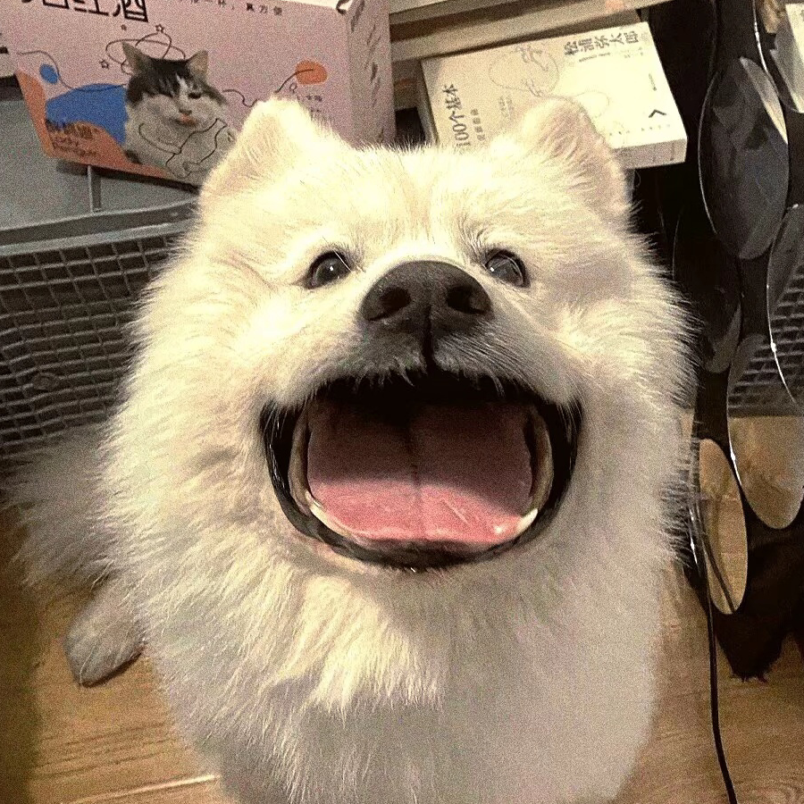 初见^