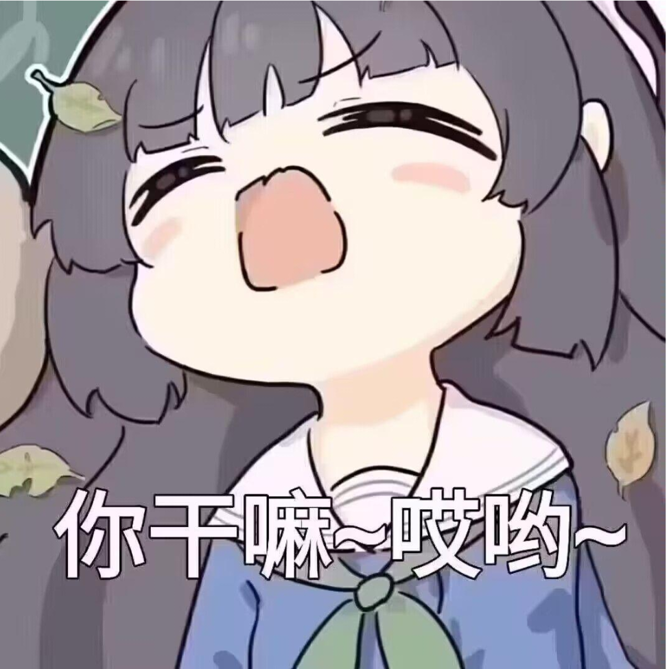 云雾茶花