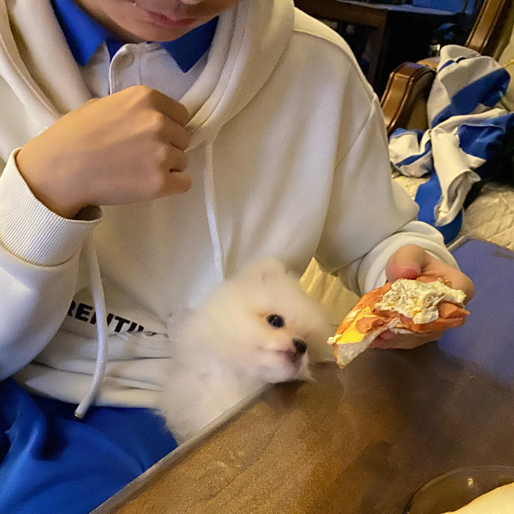 独一无二的休闲玩家