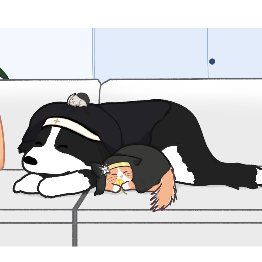 绀