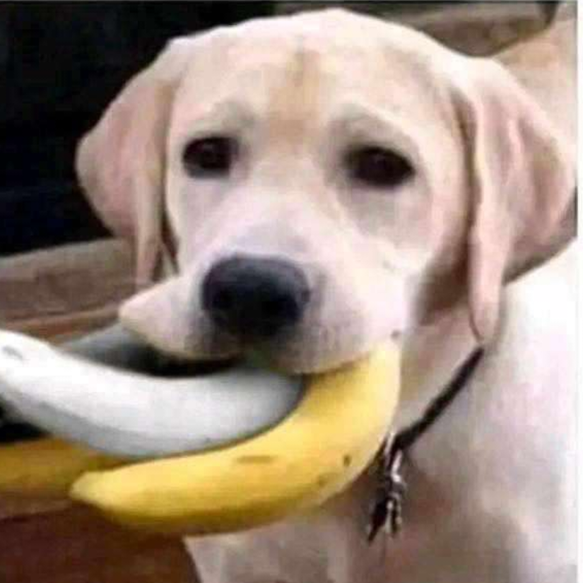 GODSAX