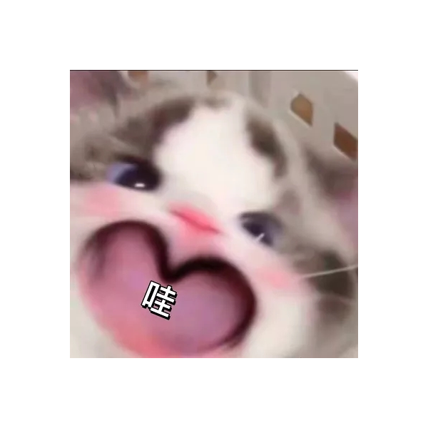 科里