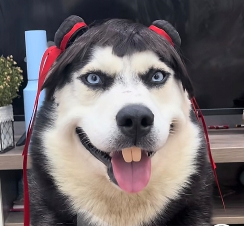 0通魔0