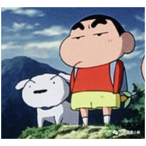 新酱看天下