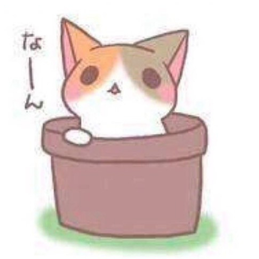Mr