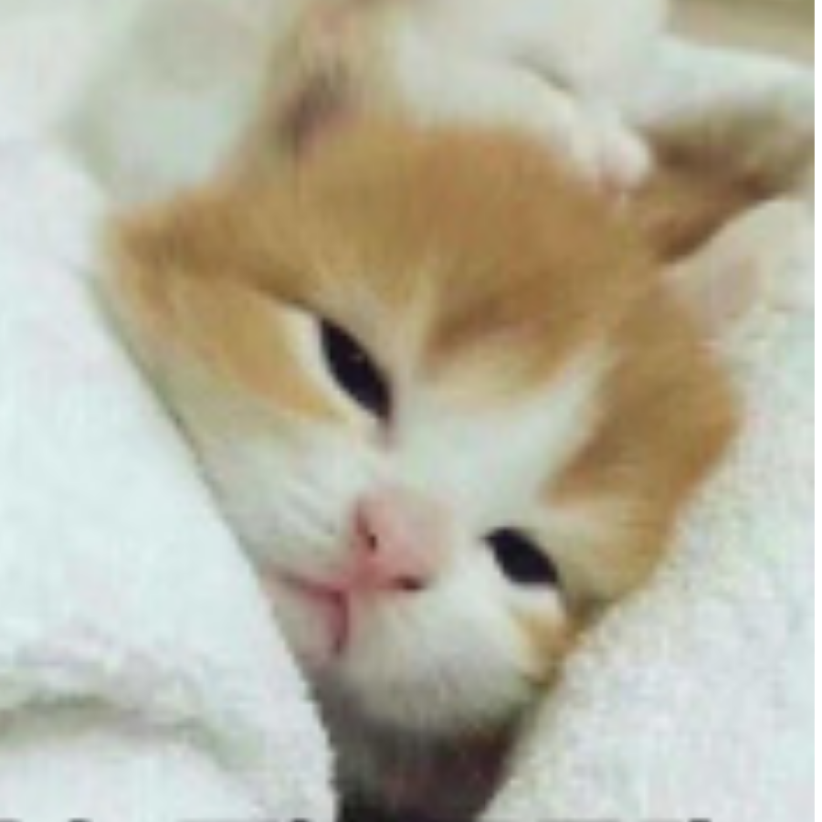 要吃糖霜史莱姆