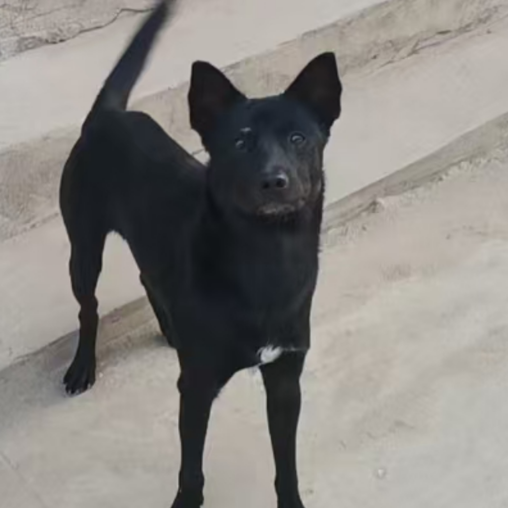 彩虹;伟