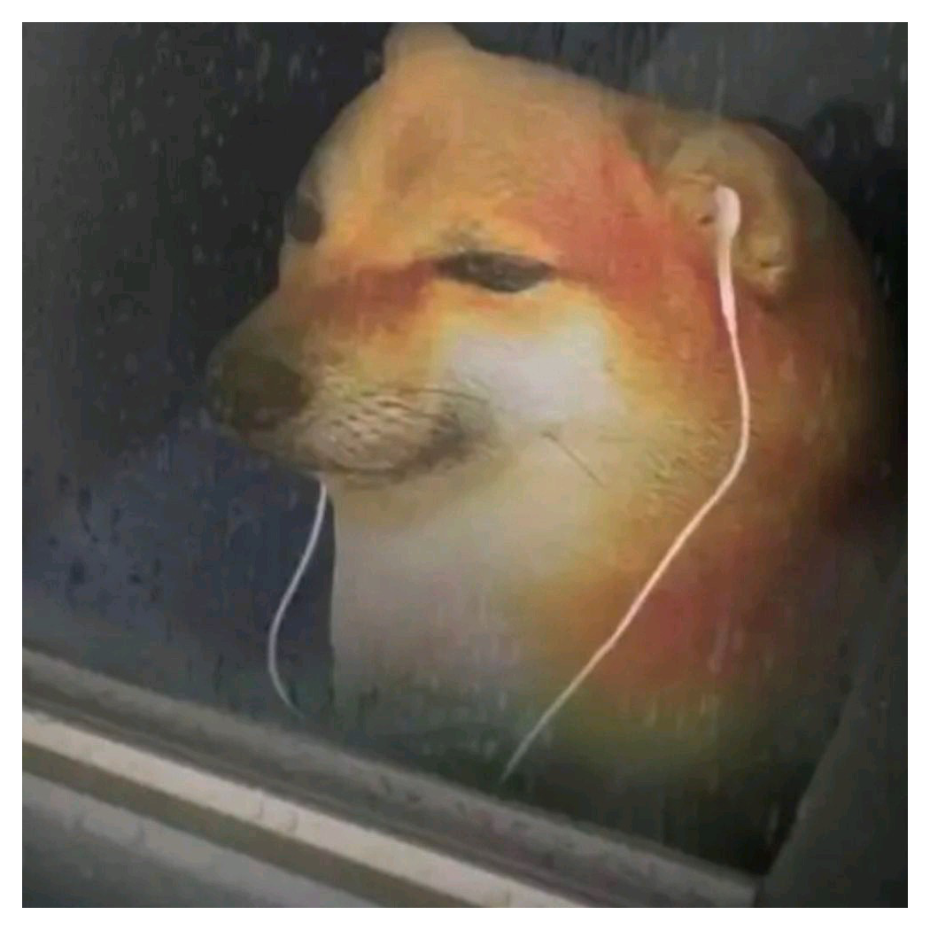 仁