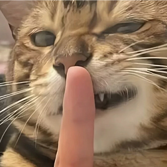 我心忡忡
