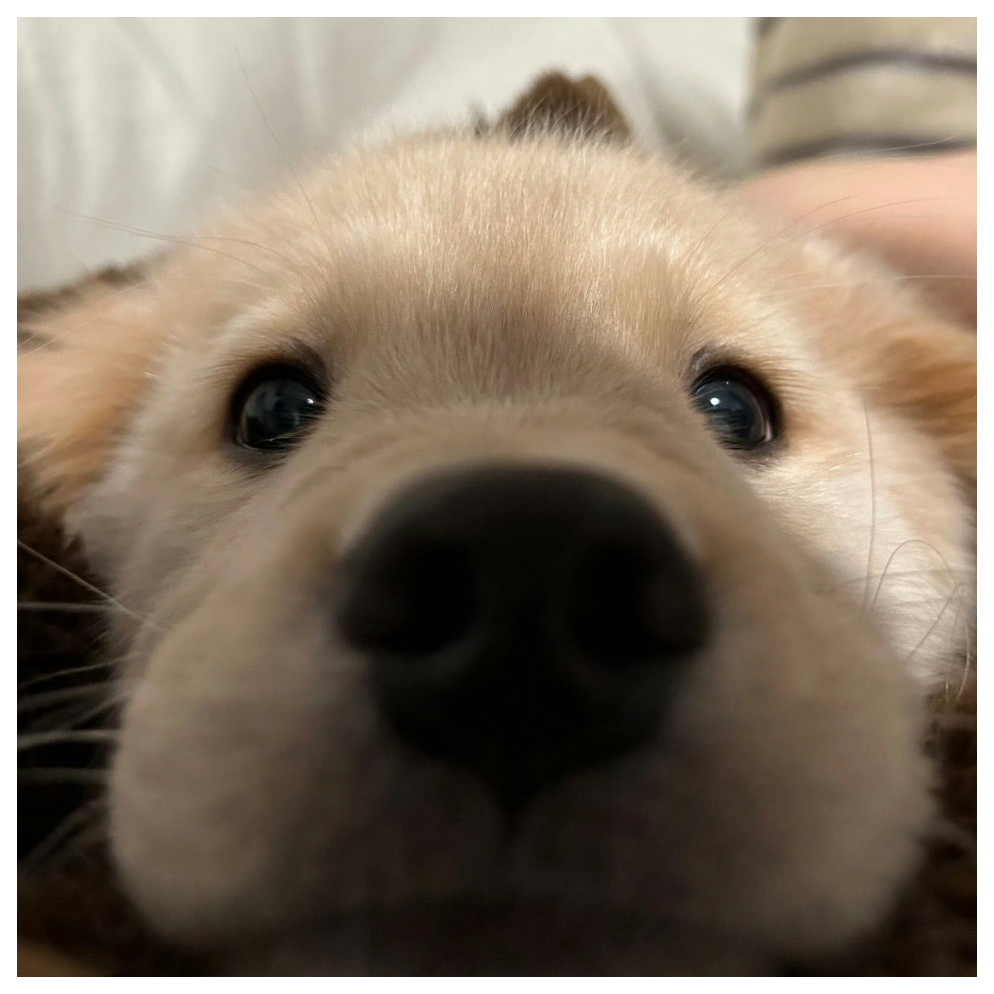 那我就狠凶❤