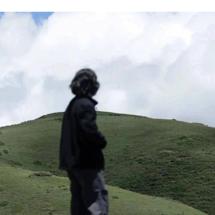 青山山