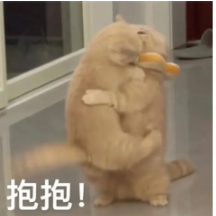 你算哪块柠檬味小饼干