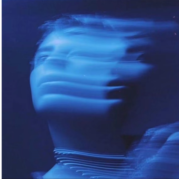 卧雏