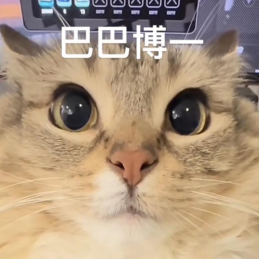 我不要心如止水