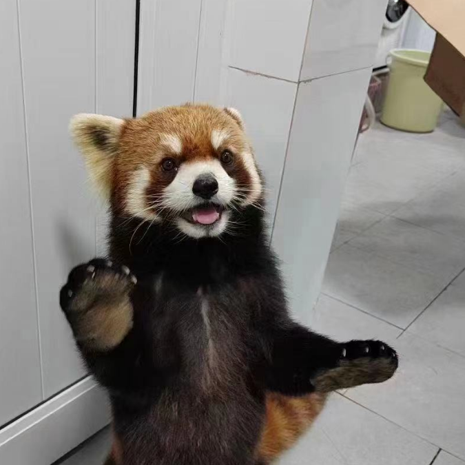 大富翁