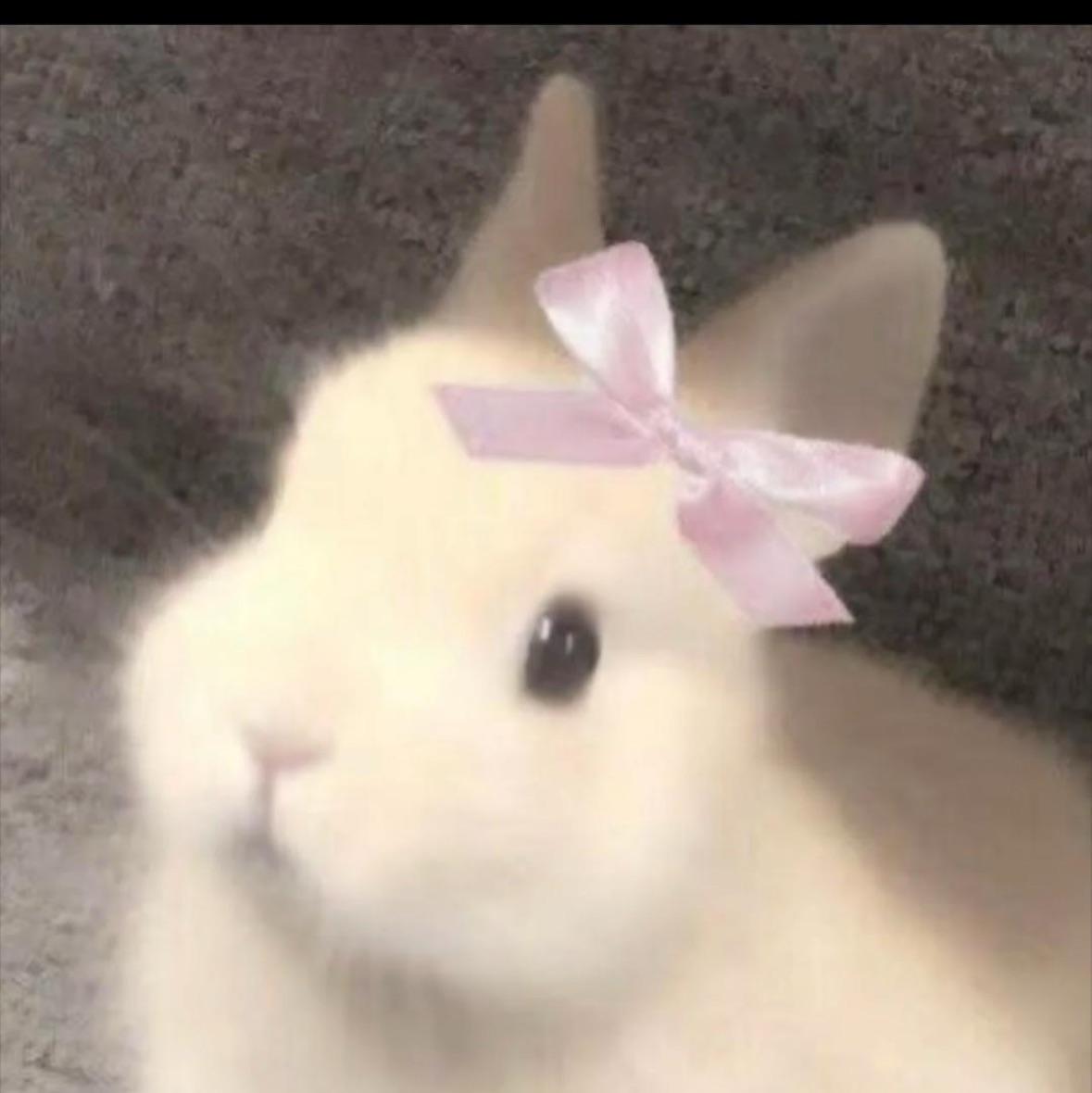 柠
