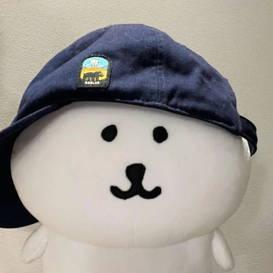 小猫宝