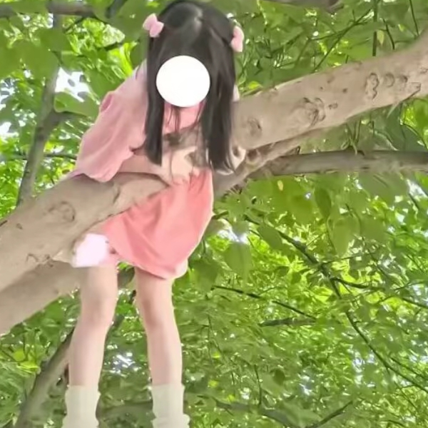 怪窝太笨^