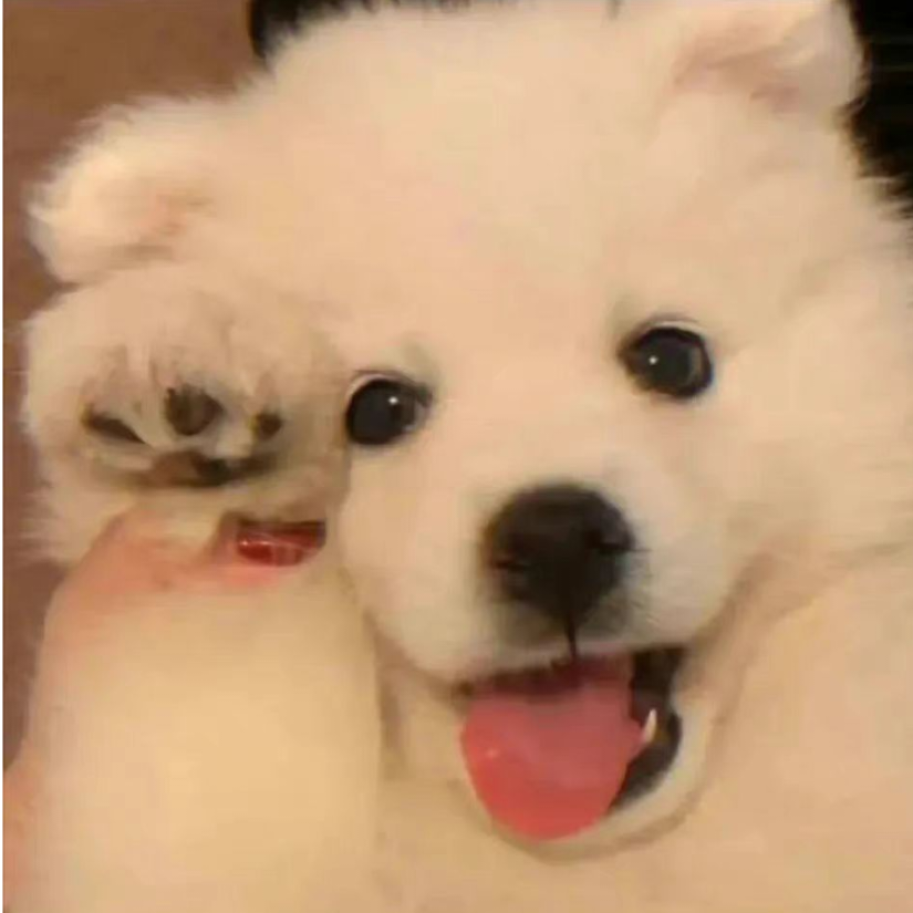 云颠