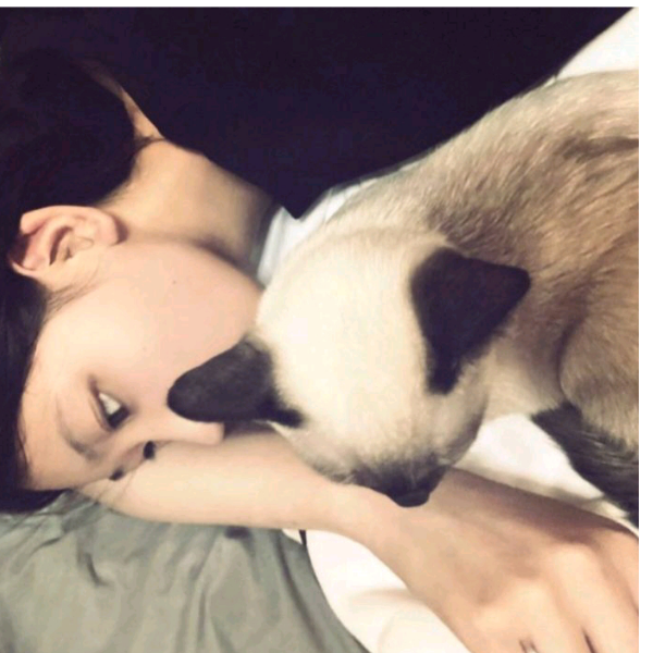 白筱