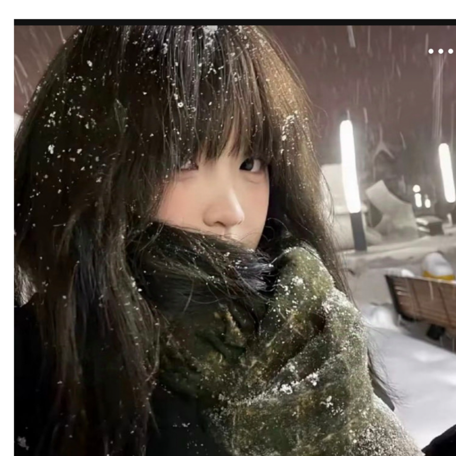 飞雪迎春