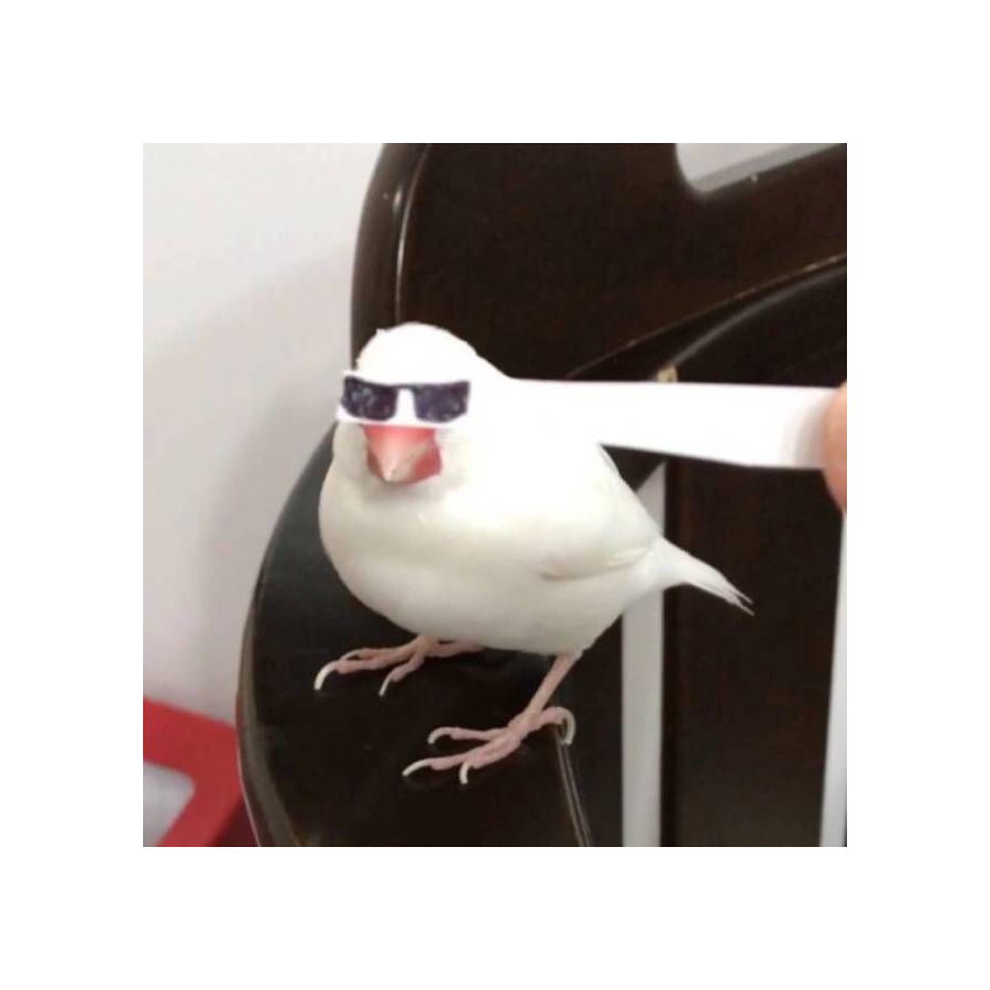 吃力不讨好丽友