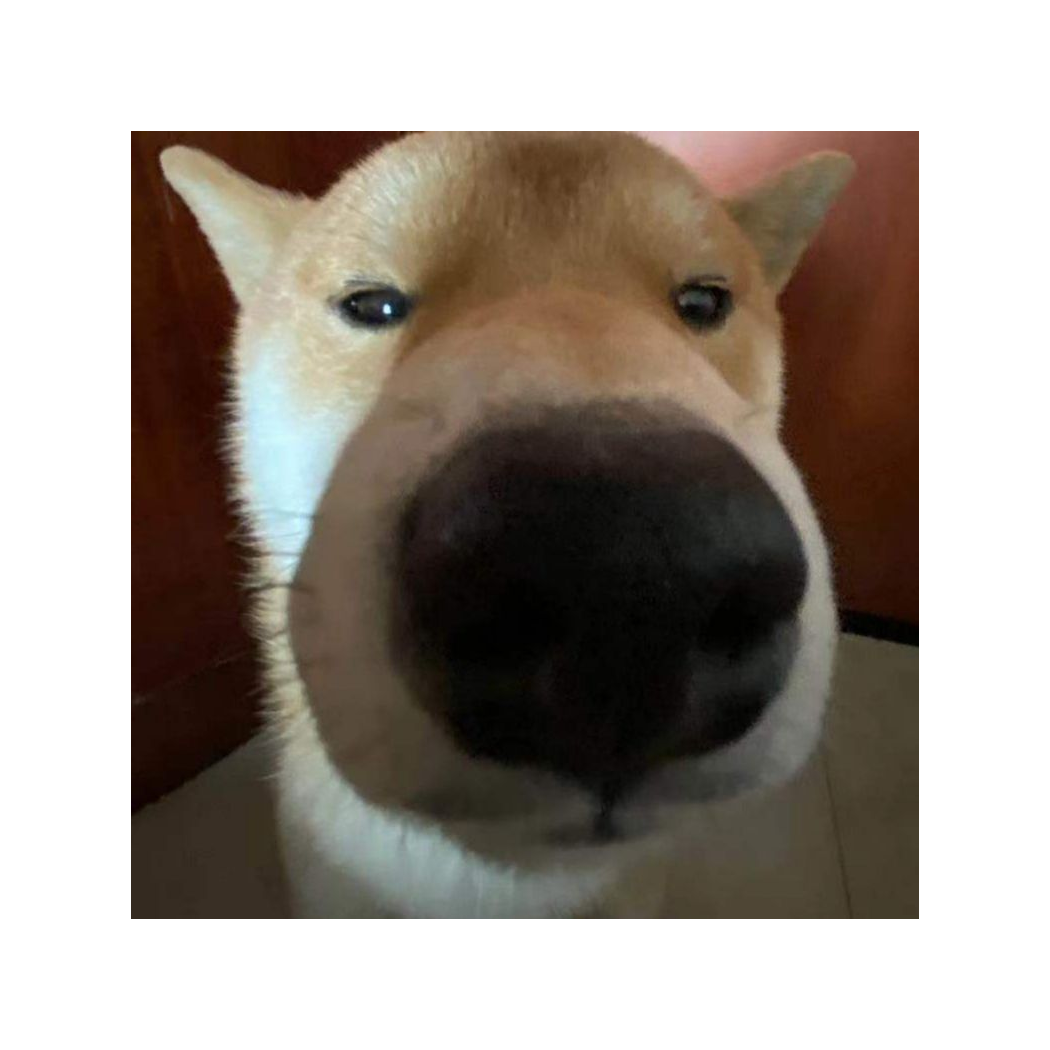 知悉