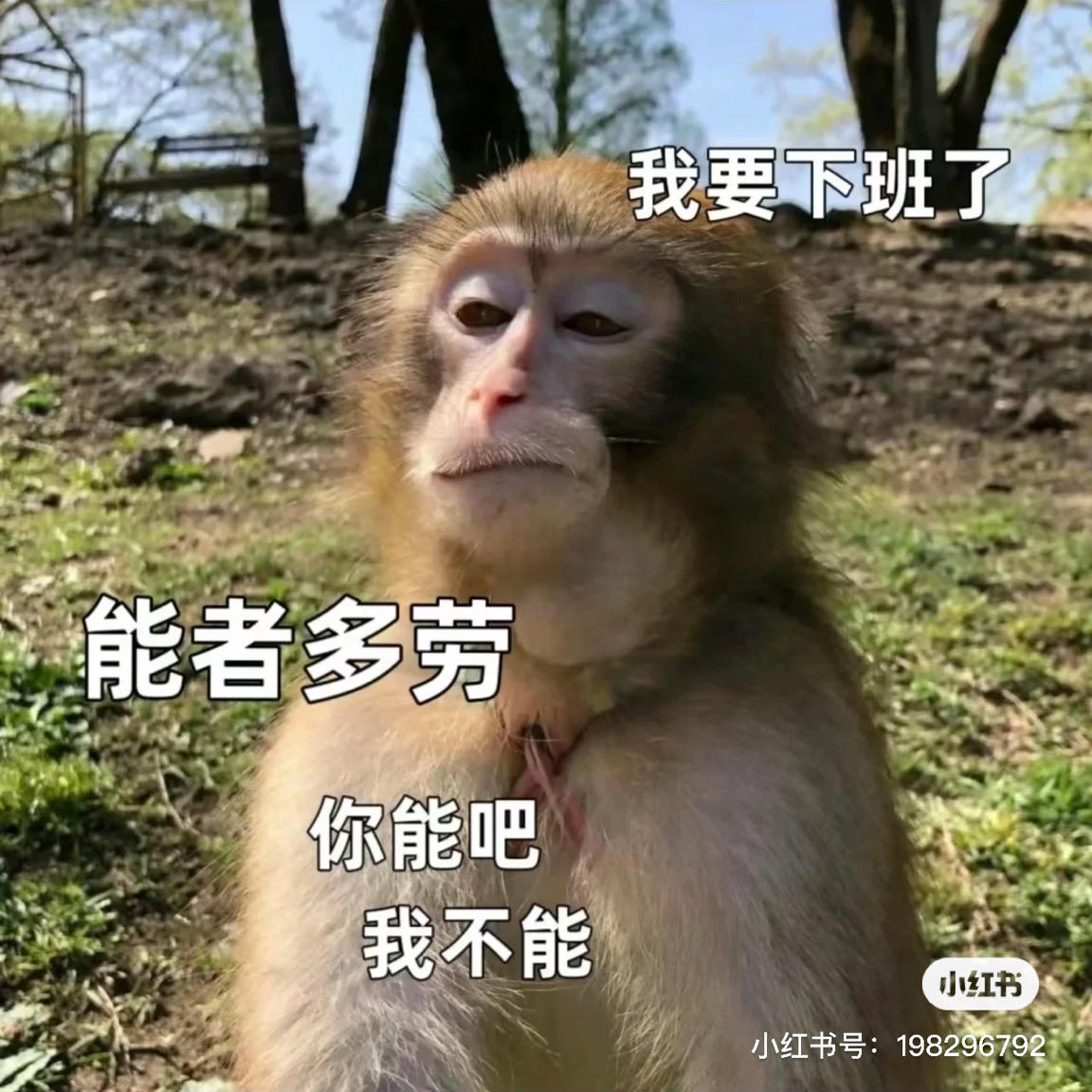 随便玩玩