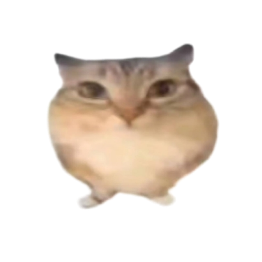出生