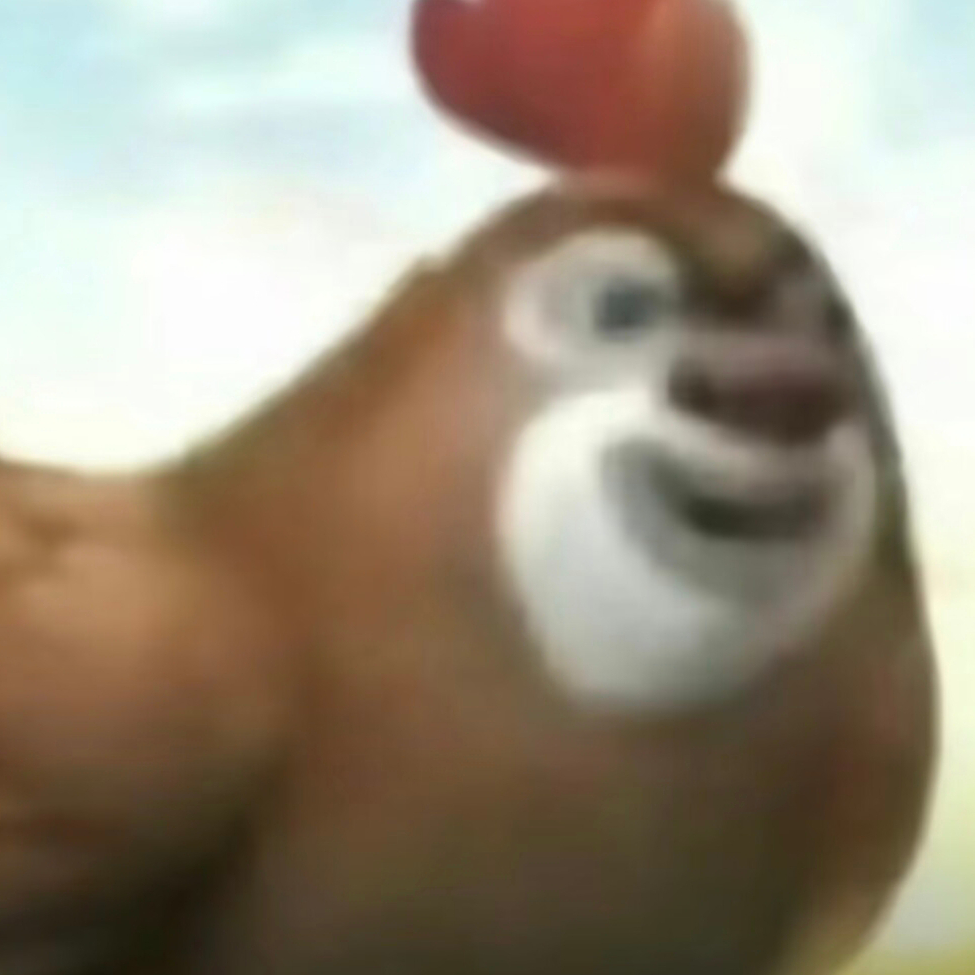 奇遇不断