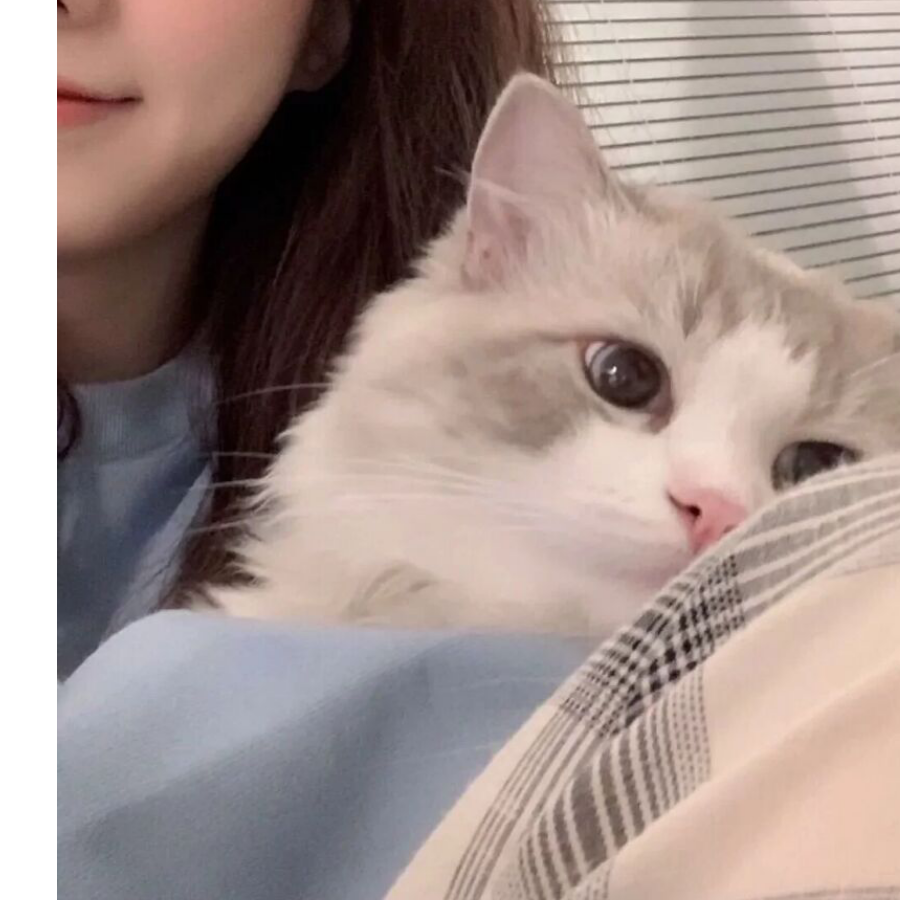 惖.