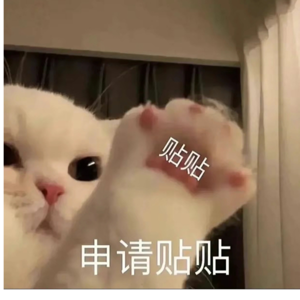 九