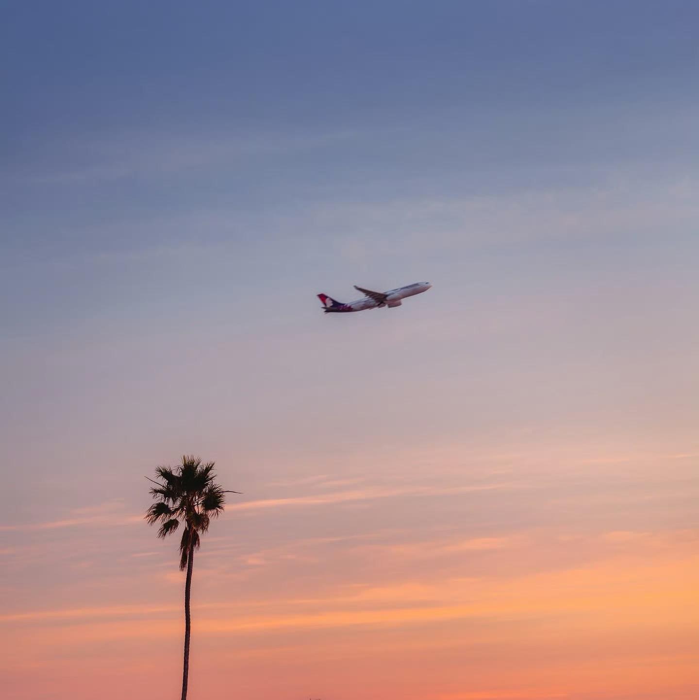 我已经习惯一个人。